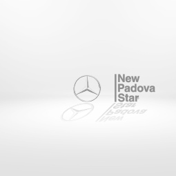 placeholder padova star